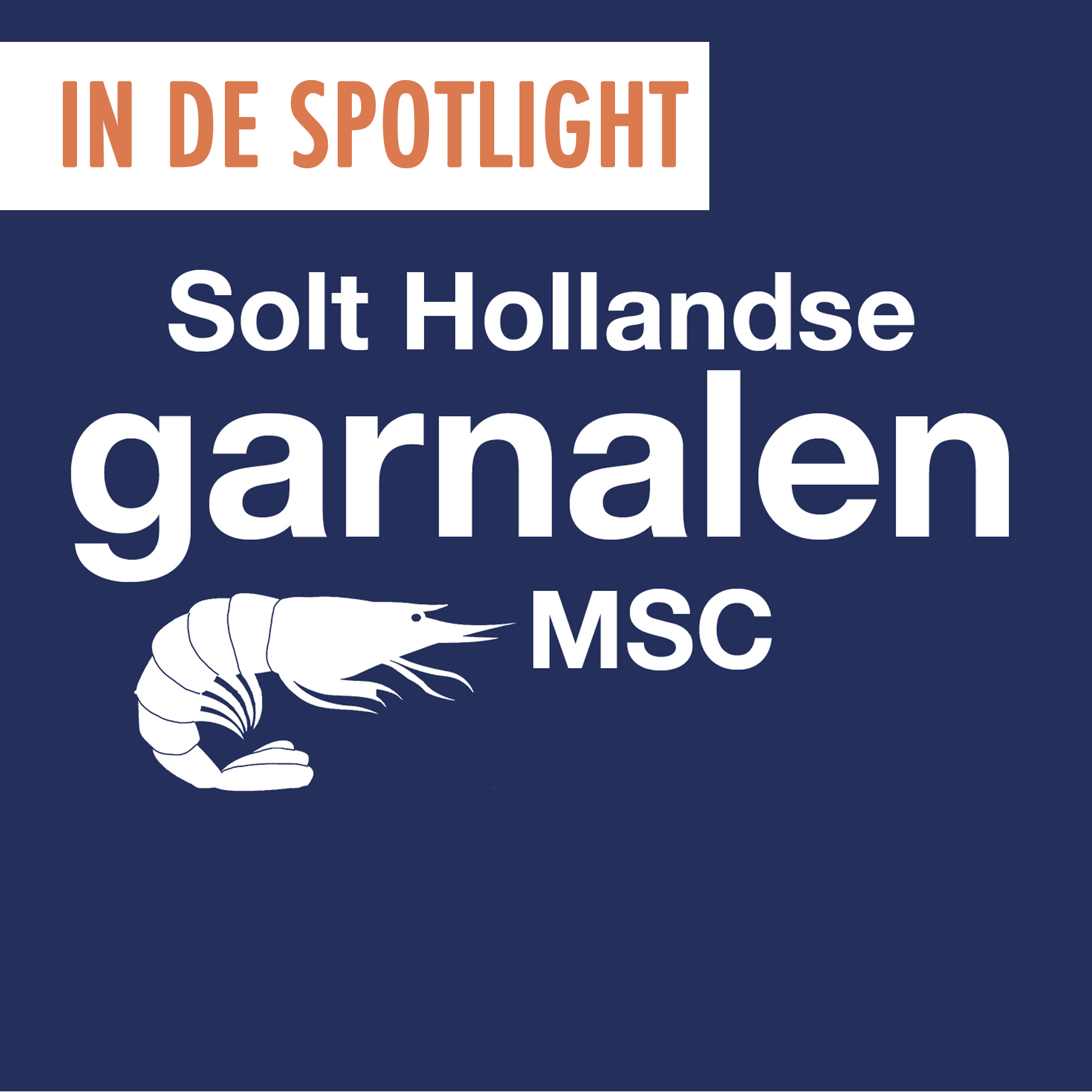 Spotlight maart: Solt Hollandse garnaal