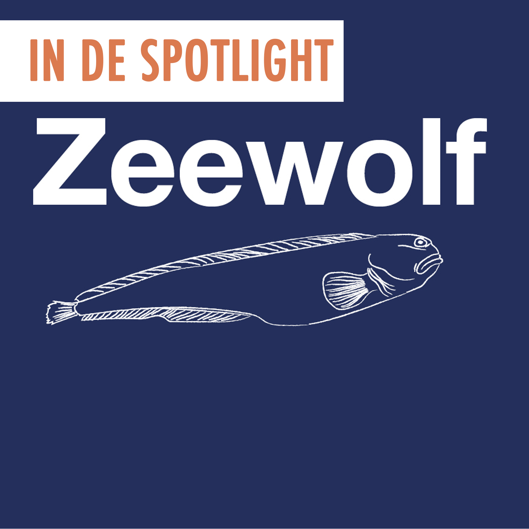 Spotlight april: Zeewolf! 