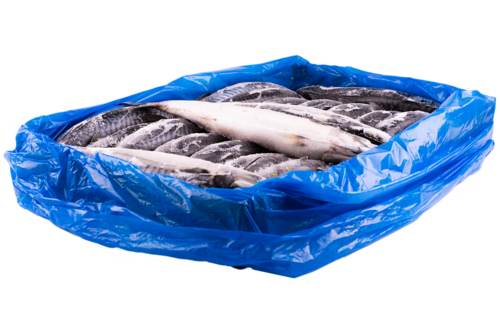 Mackerel 300-500gr block 10kg frozen 