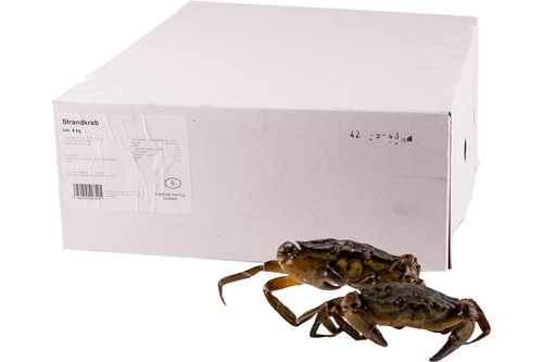 Green crabs box 6kg frozen